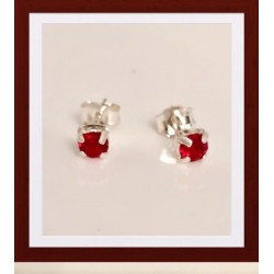 Boucles D'oreilles Puces Oz...