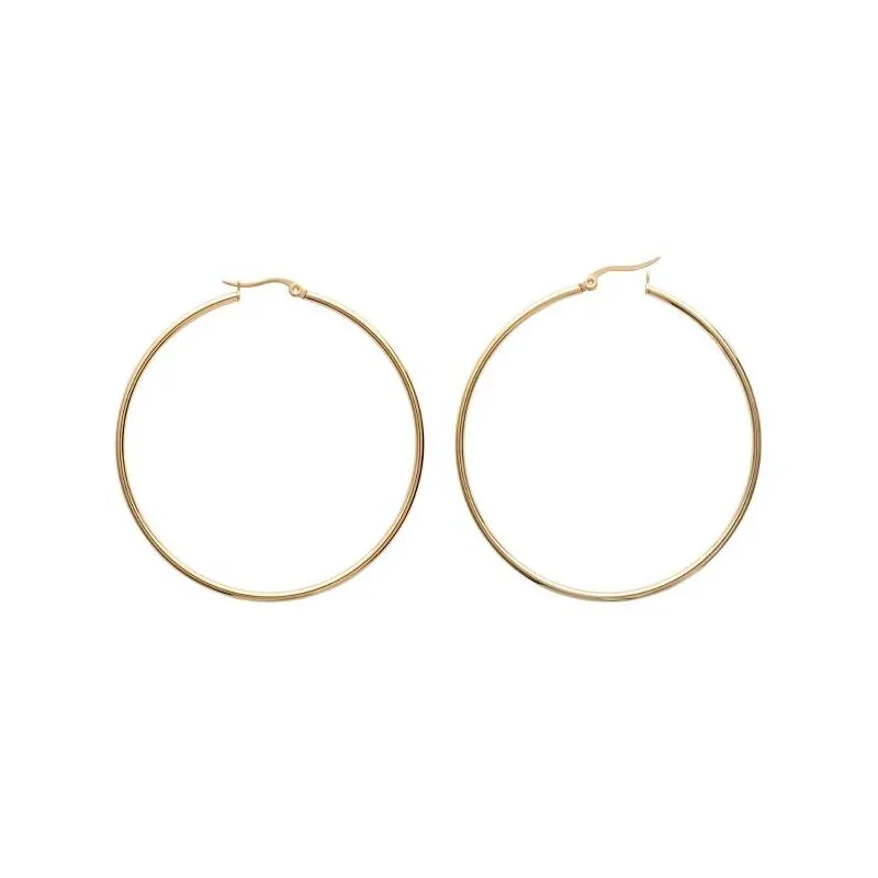 Boucles D'oreilles Créoles En Acier Inoxydable Pour Femmes – Grand Format, Zircones, Hypoallergéniques, Or/argent