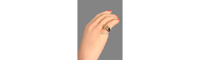 Bague Chevalière Plaqué Or Tailles au CHOIX T 48 à T 68 MIXTE
