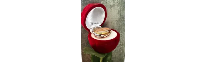 Bague 3 Anneaux Tricolore Argent 925 et Plaqué or 18 Carats T48 à 70