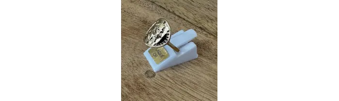 Bague Napoléon Pièce Louis d'or En Plaqué Or Tailles 48 et 50 Disponible