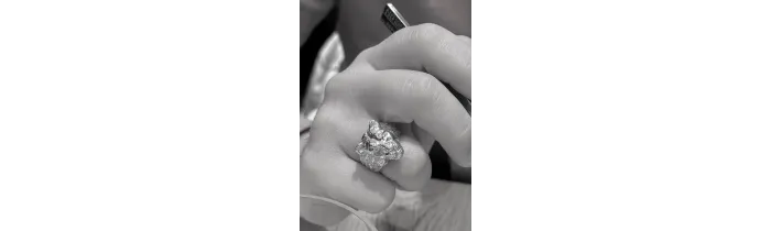 Chevalière LION En Plaqué Or 18 CARATS Tailles 52 à 72