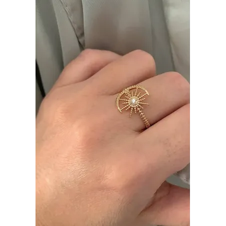 Voûte céleste et croissant de lune | Prix 4'022.60 CHF | Plaquettes et