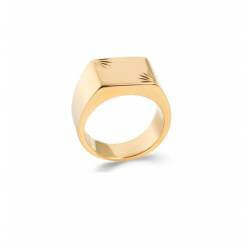 Bague T.52 Chevalière En Plaqué or 18 Carats 750/1000 Homme/Femme