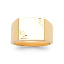 Bague T.52 Chevalière En Plaqué or 18 Carats 750/1000 Homme/Femme