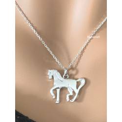 Collier chaîne + pendentif...