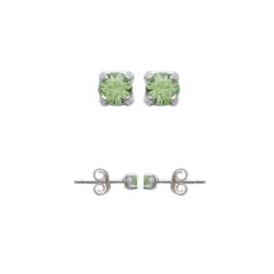 Boucles D'oreilles Puces...