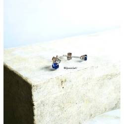 Boucles D'oreilles Puces...