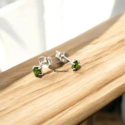 Boucles D'oreilles Puces...