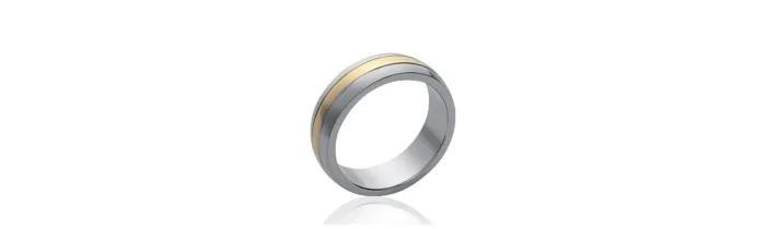 Bague Bicolore en Acier Inoxydable&Plaqué or 3 microns Bijoux T 52 à 70 MIXTE