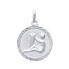 Pendentif Médaille Signe Zodiaque VERSEAU Argent Massif 925/1000