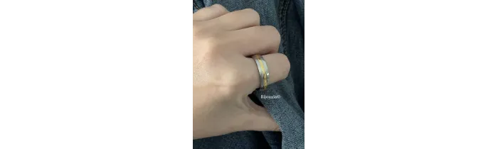 Bague Bicolore en Acier Inoxydable&Plaqué or 3 microns Bijoux T 52 à 70 MIXTE